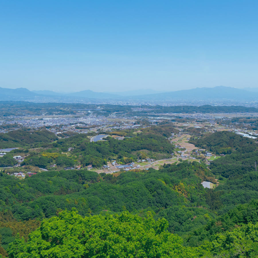 ホーム