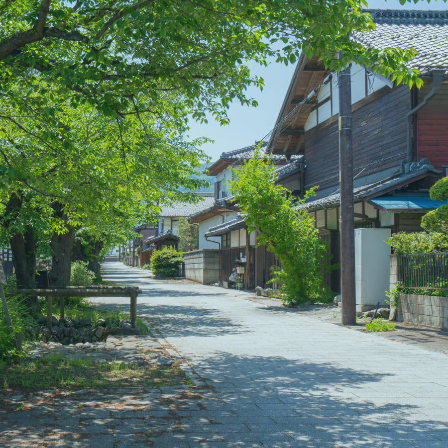 ホーム